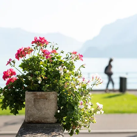 세일러 오 락 호텔 4*