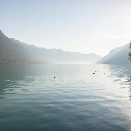 Hotel Seiler Au 3*