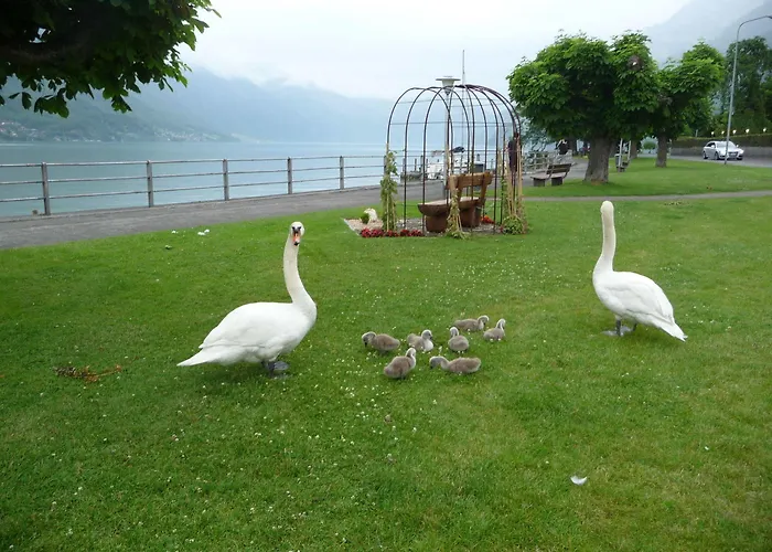 Hotel Seiler Au 3*