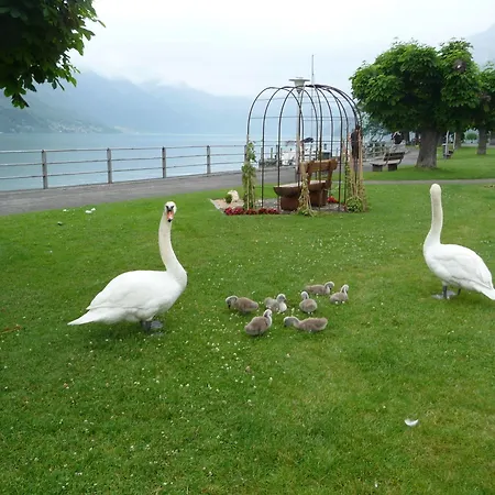 Hotel Seiler Au 4*